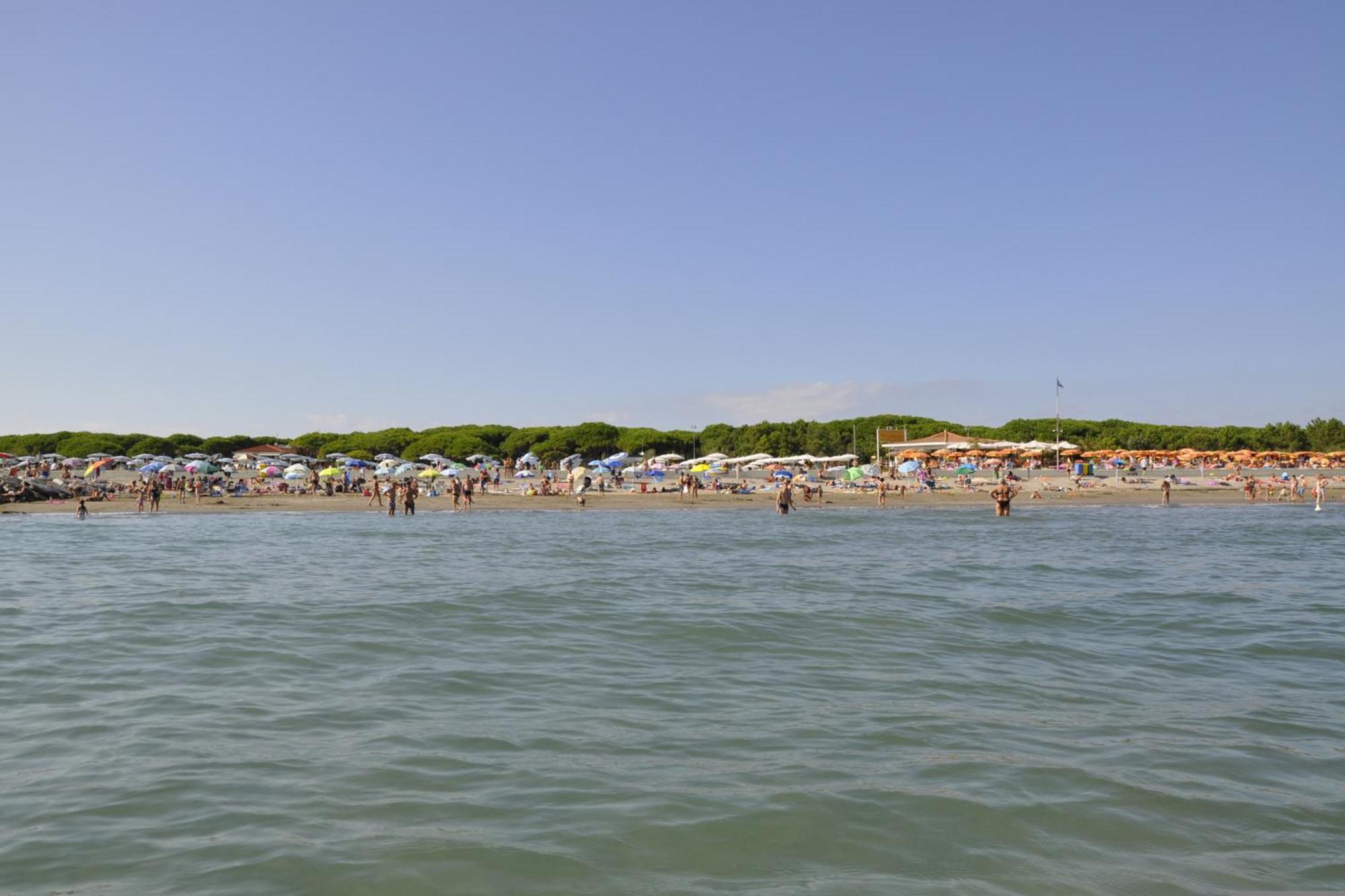 Appartamento In 54503